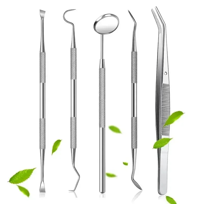Stainless Steel Oral Tools