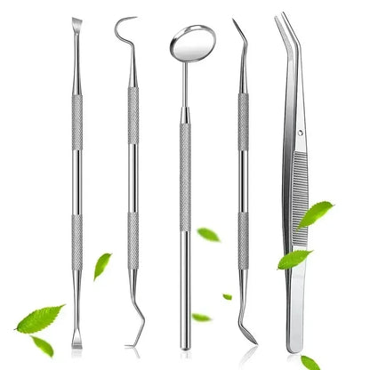 Stainless Steel Oral Tools