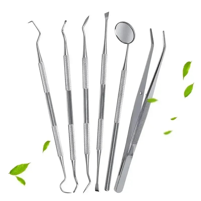 Stainless Steel Oral Tools
